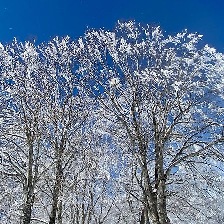 Snow Horizon Apartman Hakuba Kültér fotó